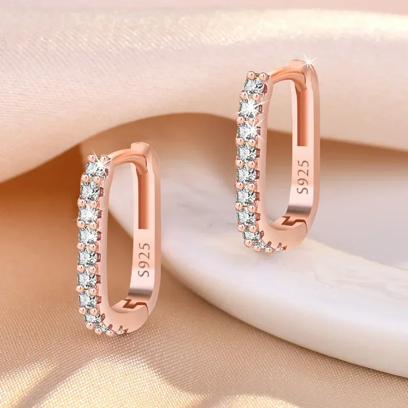 Original designer 925 Sterling Silver Elegant Crystal Jewelry Fashion Zircon Circle Hoop Earrings for Woman Wedding Party Gift